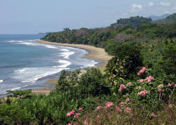 Beautiful, unspoiled beach just south of Dominical, Costa Rica